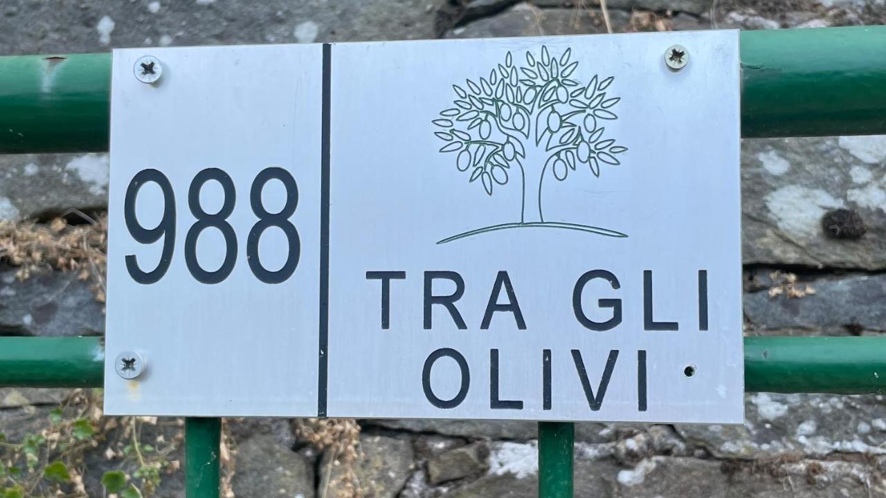Апартаменты Tra Gli Olivi Лукка Экстерьер фото